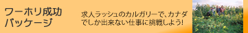ワーホリ成功パッケージ　求人ラッシュのカルガリーで、カナダでしかできない仕事に挑戦しよう！
