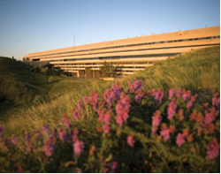 University of Lethbridge English for Academic Purposes (U of L EAP) / レスブリッジ大学