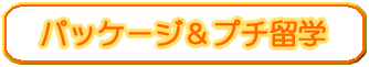 パッケージ＆プチ留学